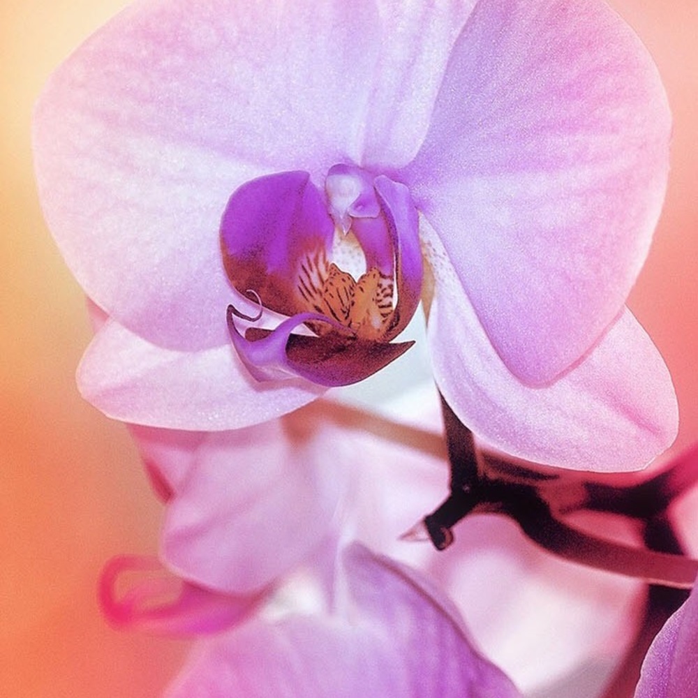 TEMPORARILY CLOSED. 12-2-25